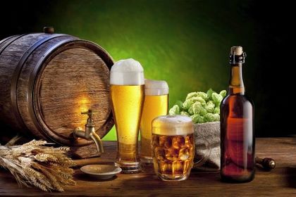 TIPOS DE FERMENTACIÒN: