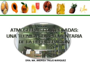Atmósferas Controladas