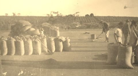 Agricultura