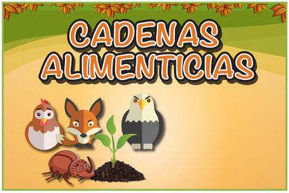 Cadenas Alimenticias