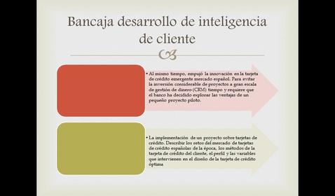 Grupo 7: Bancaja desarrollo de inteligencia de cliente