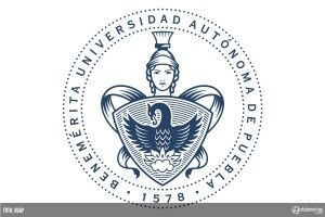 MODELO MINERVA