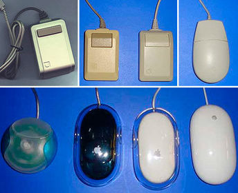 Mouse
