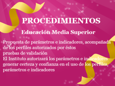 SERVICIO PROFESIONAL