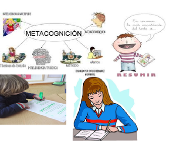 Los elementos del programa de aprendizaje.