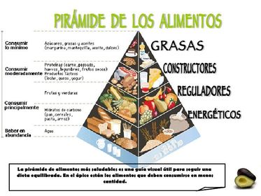 3.3.1 Macromoléculas naturales.