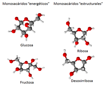 Macromoléculas naturales