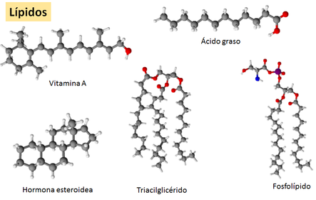 Macromoléculas naturales