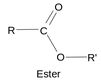 Enlace Éster