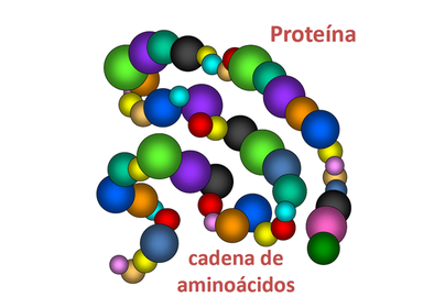 Macromoleculas, polímeros y monómeros