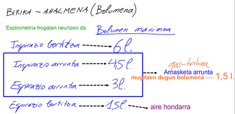 Birika ahalmena