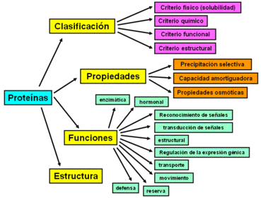 LA CORTEZA TERRESTRE, MACROMOLÉCULAS