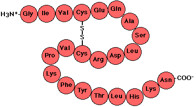 LA CORTEZA TERRESTRE, MACROMOLÉCULAS