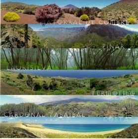 ECOSISTEMAS TERRESTRES