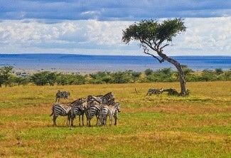 Sabana