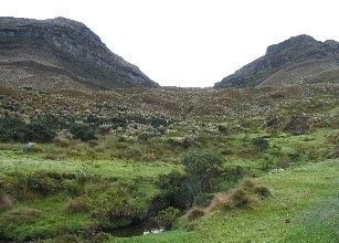 Paramo