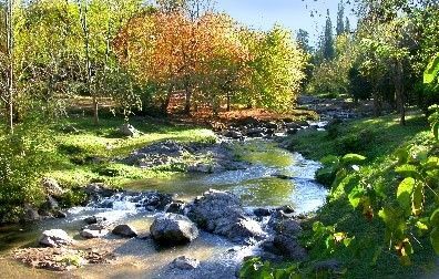 Arroyos