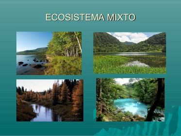 Ecosistemas mixtos.
