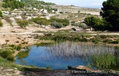 Charco