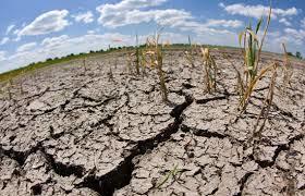*Ahorrando el agua