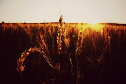 Consejos Para Una Buena Composición