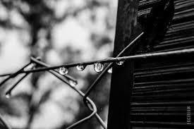 Tipos de perspectiva