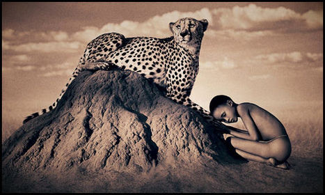 Composicion fotografica