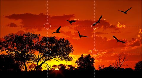 COMPOSICIÓN FOTOGRÁFICA