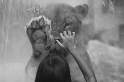 Story of the Photography