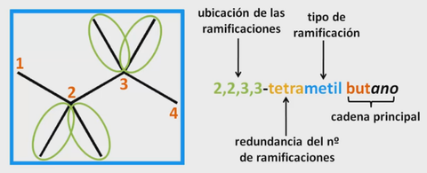 Nomenclatura