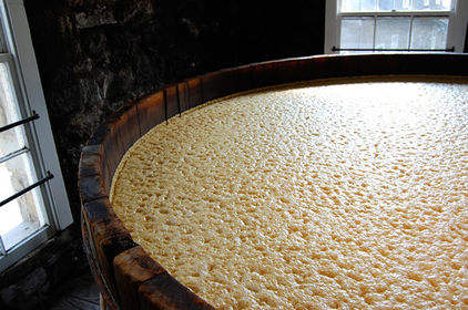 FERMENTACIÓN.