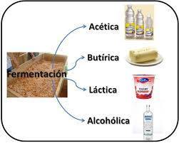 TIPOS DE FERMENTACIÓN: