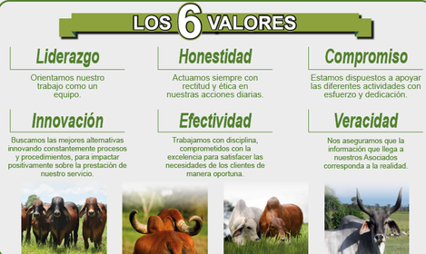 Gremios y Asociaciones de Productores Pecuarios
