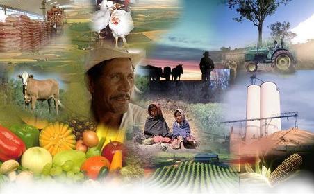 MINISTERIO DE AGRICULTURA Y DESARROLLO RURAL