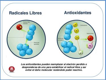 Antioxidantes