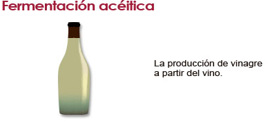 Tipos de fermentaciones