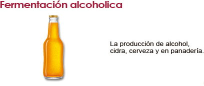 FERMENTACION