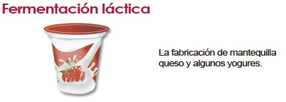 FERMENTACION