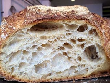 FERMENTACIÓN DE PAN