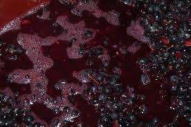 FERMENTACIÓN DE VINO