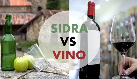 BEBIDAS FERMENTADAS
