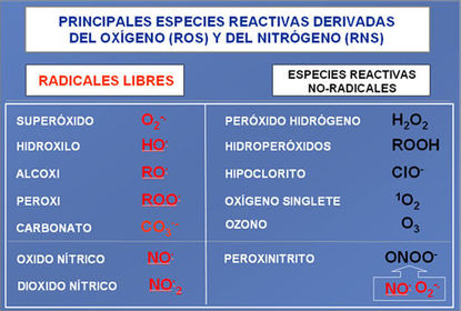 Especies reactivas derivadas del oxígeno