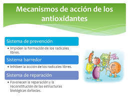 Mecanismos de acción