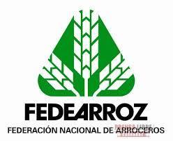 FedeArróz