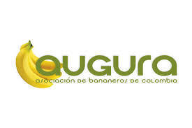 AUGURA