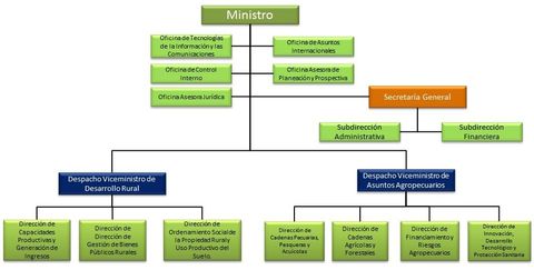 ORGANIGRAMA
