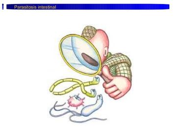MANEJO Y CONSERVACIÒN DE PRODUCTOS ALIMENTICIOS (PARASITOSIS)