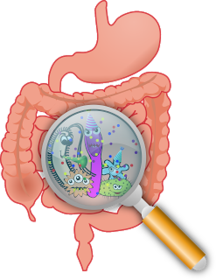 PRINCIPALES PARASITOS INTESTINALES