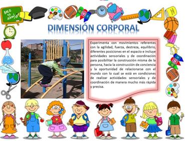 las dimensiones en preescolar Julia Leal