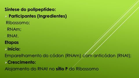 SÍNTESE PROTEICA